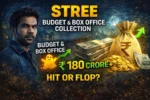 Stree budget and box office collection hit or flop Rajkummar Rao Bollywood movie earnings